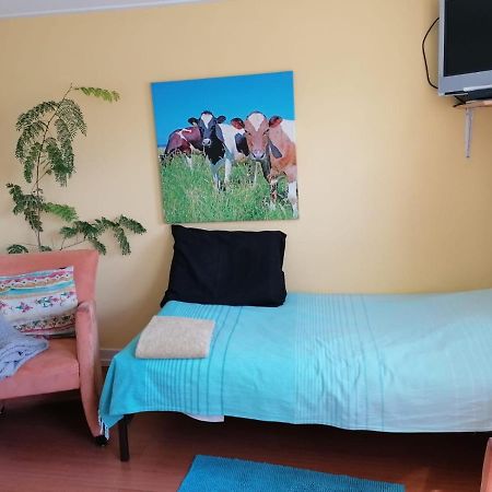 Tubbergen B&B Bij De Koeien מראה חיצוני תמונה